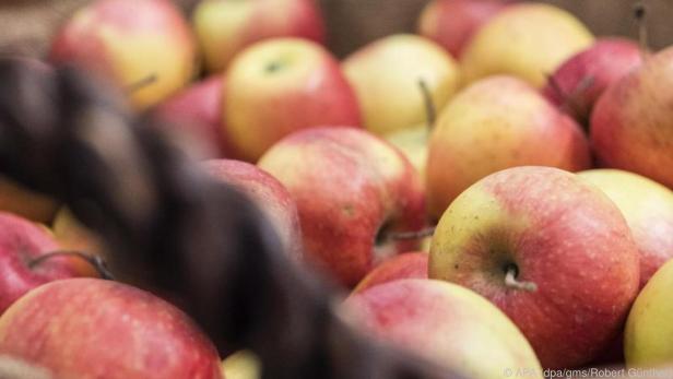 Äpfel sind nicht nur für Sportler gesund