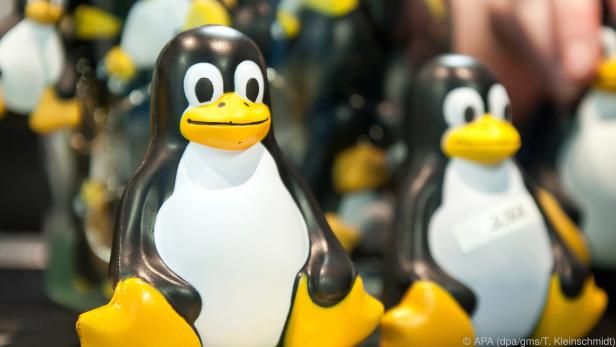 Pinguin Tux ist das Maskottchen von Linux