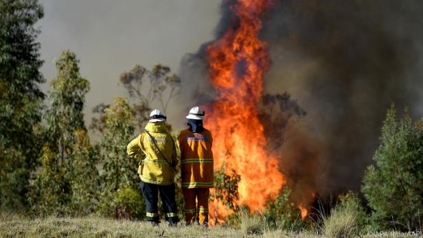 Flammen vor Sydney: In Australien wüten seit Wochen Buschfeuer