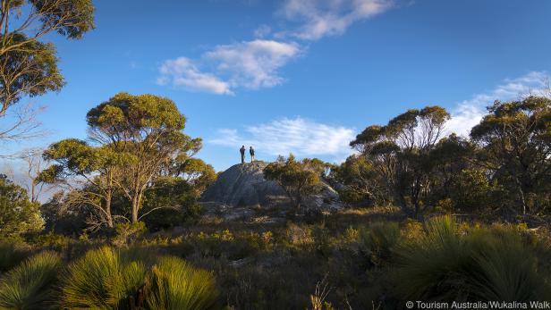 Der Wukalina Walk führt auf Tasmanien durch wilde Natur nahe der Küste entlang