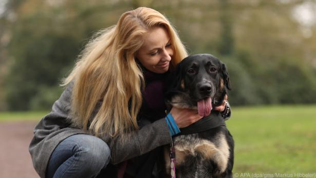 Wer einen Hund möchte, muss diesen Schritt genau überlegen