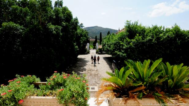 Unterwegs außerhalb der Hotelkomplexe: Touristen besuchen das Weingut Neferis