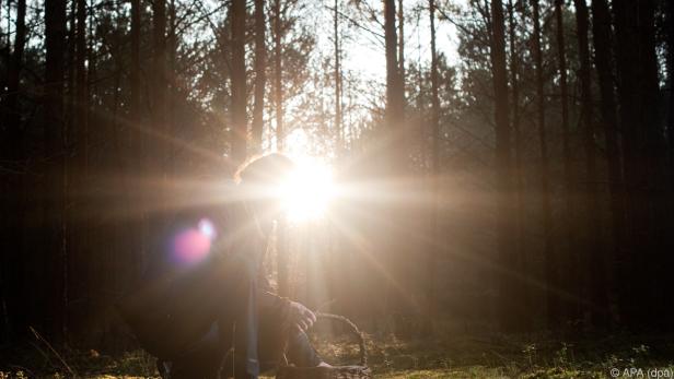 Auch im Winter kann man im Wald Pilze suchen