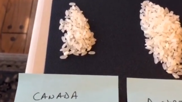Dieses TikTok-Video zeigt die Ausbreitung des Coronavirus anhand von Reiskörnern