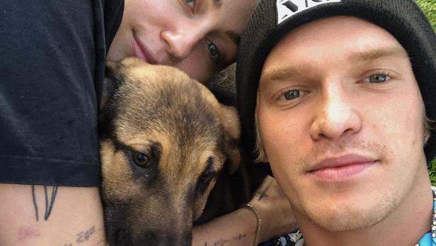Miley Cyrus, Selena Gomez & Co.: Stars adoptieren jetzt Hunde