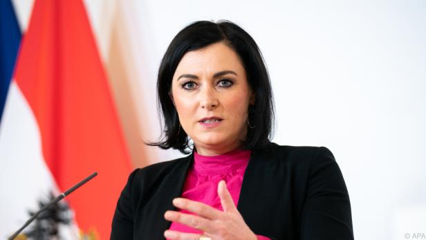 Köstinger ließ mit ihrer Idee aufhorchen