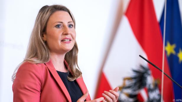Integrationsministerin Susanne Raab (ÖVP) legte ihre Pläne dar