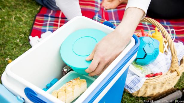 Wer sich im Sommer für ein Picknick entscheidet, sollte eine Kühlbox mitnehmen