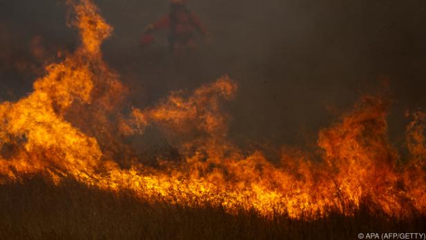 2.800 Hektar Land wurden durch die Flammen zerstört