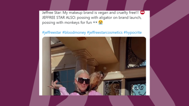 Jeffree Star und James Charles: Shitstorm nach Werbung mit Affen