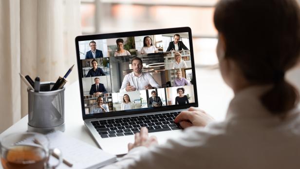On laptop diverse people collage webcam view over woman shoulder