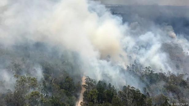 Buschbrand auf Fraser Island