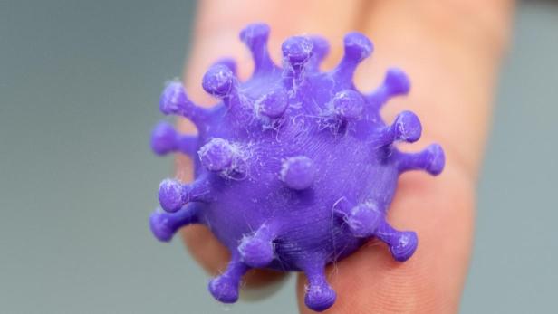 Forscher ermitteln, wie das Coronavirus Organe schädigen kann