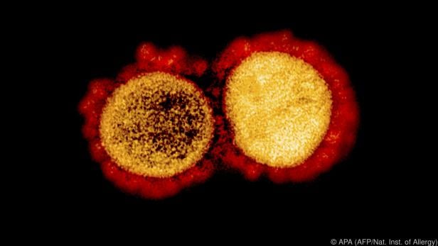 Kleiner Virus mit großen Folgen