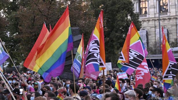 Bei einer Demonstration in Wien wurde eine Regenbogenfahne zerrissen