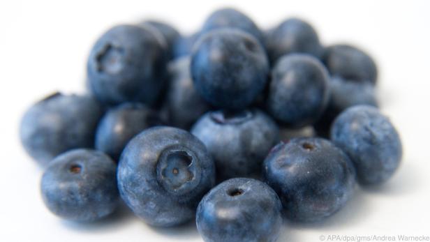 Der Farbstoff Myrtillin macht Heidelbeeren blau - und ist sehr gesund