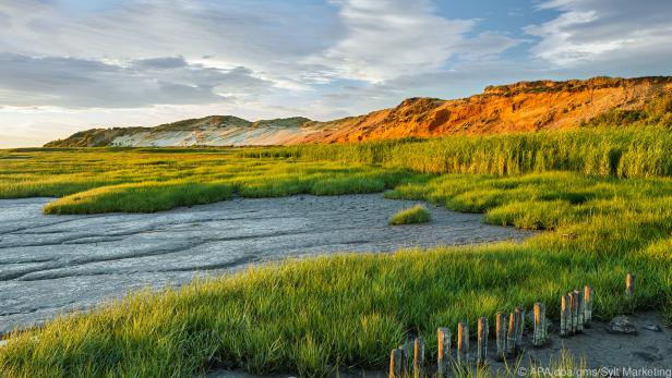 Wilde Landschaft: In betörenden Naturfarben erstrahlt das Morsumer Kliff auf Sylt