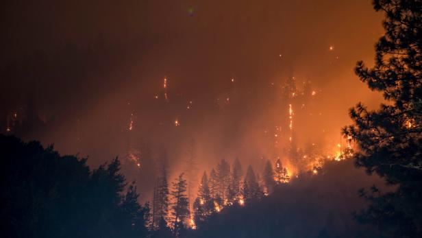 Waldbrände in Russland auf über 500 Quadratkilometern