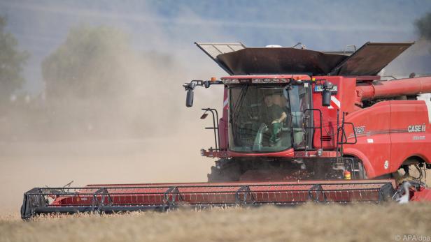 Getreideernte in Österreich heuer rückläufig