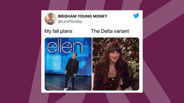 Meine Pläne vs. Delta-Variante: Das ultimative Corona-Meme ist zurück