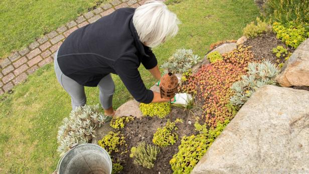 Mit Steingärten lassen sich Hänge im Garten gut gestalten