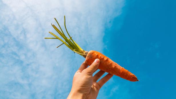 Life-Hack: Mit diesem Trick werden runzelige Karotten wieder knackig