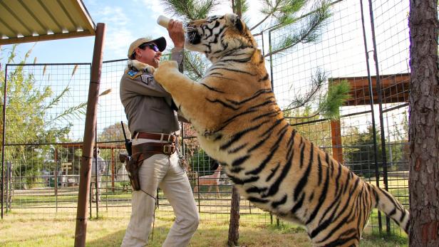Schock: "Tiger King"-Star tot aufgefunden