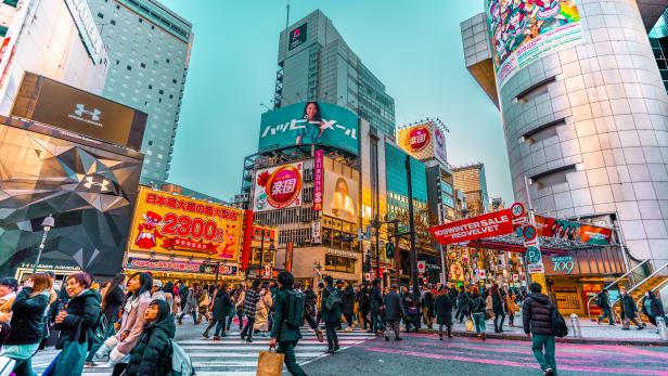 Erdbeben mit der Stärke 6,1 erschütterte Tokio