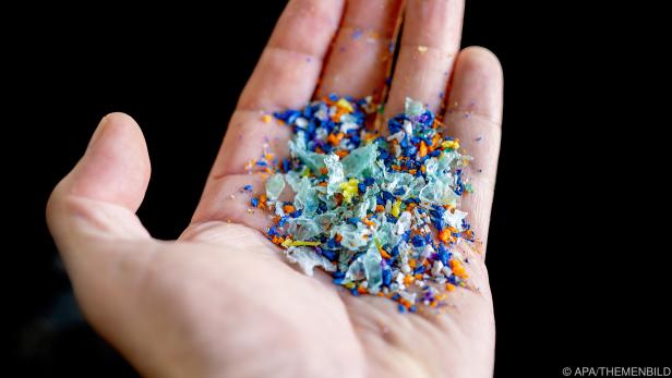Mikroplastik gerät u.a. durch Verpackungsabfall in die Nahrungskette