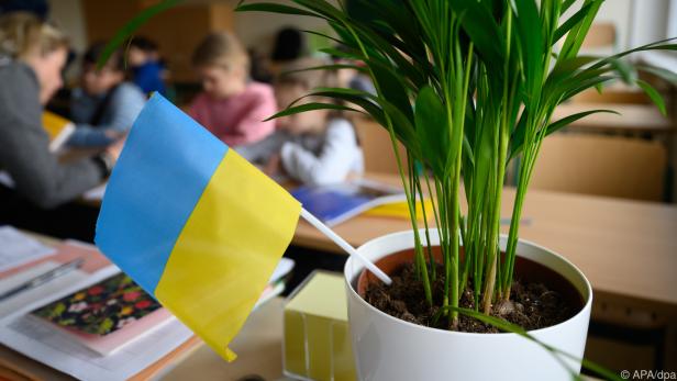 Die ukrainischen Schüler sitzen am häufigsten in den Volks- und Mittelschulen