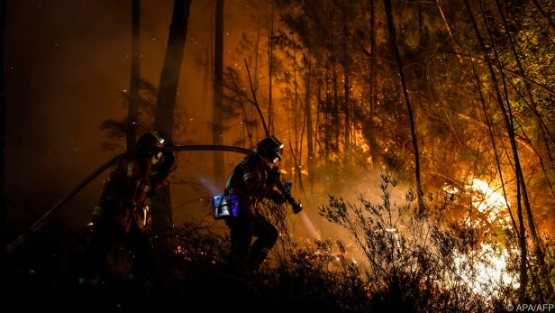 Rund 600 Hektar Naturfläche bereits verbrannt