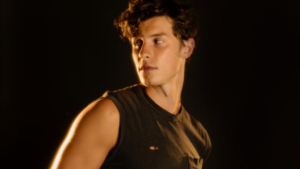 Shawn Mendes hat seine psychischen Probleme im Griff