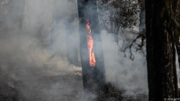 Waldbrände in Südwest-Frankreich sorgen für gespenstische Szenen