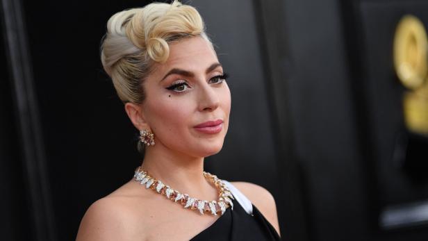 Lady Gaga: Ihre Hunde wurden letztes Jahr entführt, nun steht die Strafe für den Täter fest.