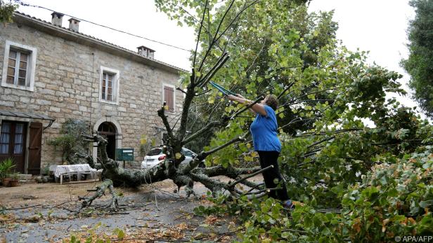 Schwere Unwetter ließen auf Korsika Bäume umstürzen