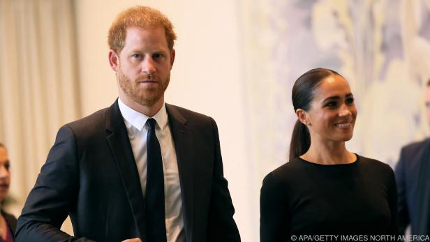 Neo-Hundebesitzer Harry und Meghan