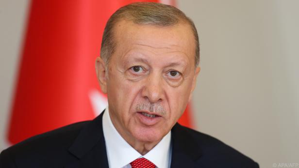 Der türkische Präsident Erdogan verkündete die Festnahme