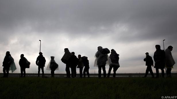 Migranten in Serbien auf dem Weg nach Kroatien