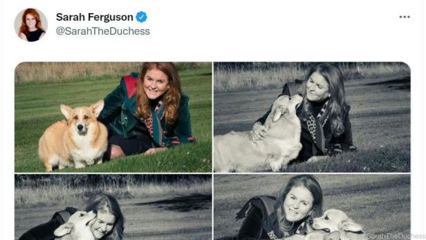 Sarah Ferguson ist auf den Hund gekommen