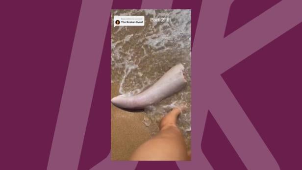 Walpenis an Strand angespült? TikTokerin teilt bizarres Video