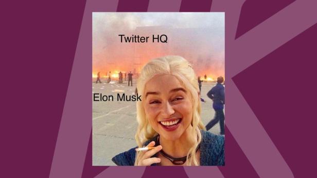 Reaktionen Elon Musk Twitter Übernahme