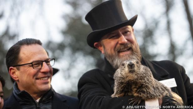 Am Groundhog Day in den USA werden Murmeltiere vor den Vorhang geholt