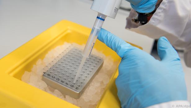 Bakterien müssen mit Alkohol gefügig gemacht werden