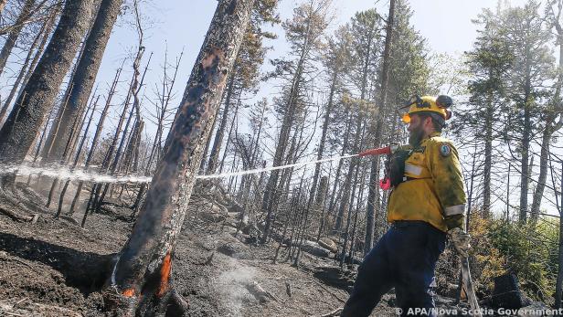 Seit Tagen kämpfen Löschmannschaften gegen die Waldbrände