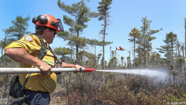 Feuerwehrleute haben viel zu tun