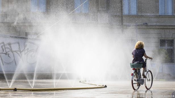 Direkte Sonne soll bei hohen Temperaturen gemieden werden