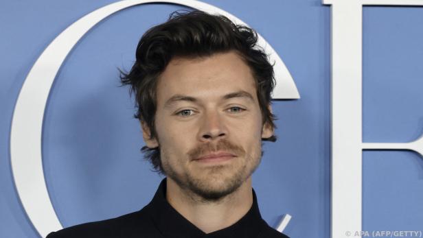 Harry Styles auf Gemälde verewigt