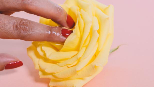 Eingeölte Finger fassen in die Mitte eines gelben Rosenkopfes