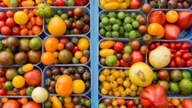 Als "Passata" sind Tomaten Zutaten für zahlreiche beliebte Gerichte