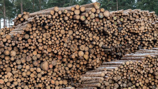 Von Bauen mit Holz erhoffen sich manche Klimaschutz-Experten viel
